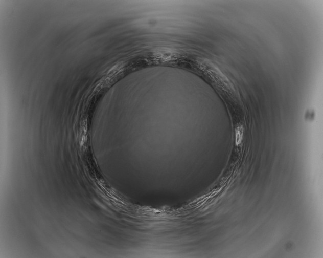 X0000097991011200804071146