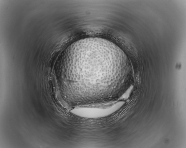 X0000097991012200804071146