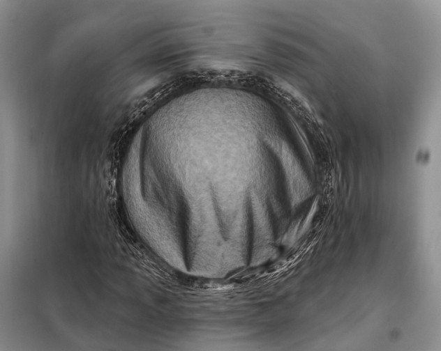 X0000097991013200804071146