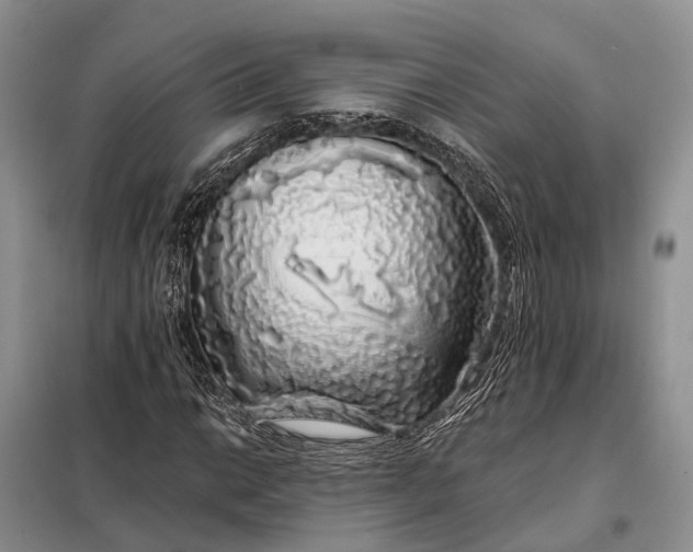 X0000097991014200804071146