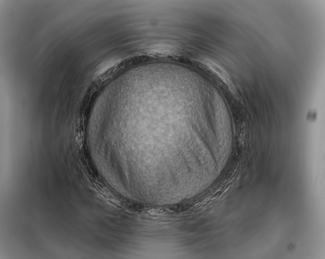 X0000097991015200804071146