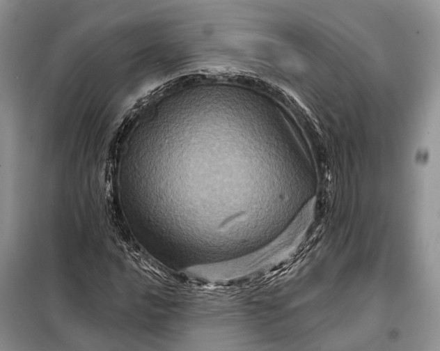 X0000097991016200804071146