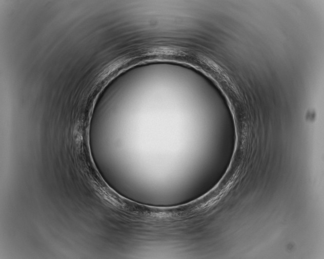 X0000097991017200804071146