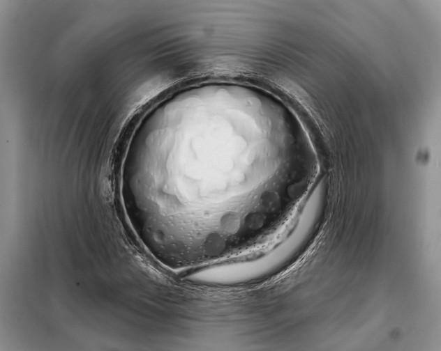 X0000097991018200804071146