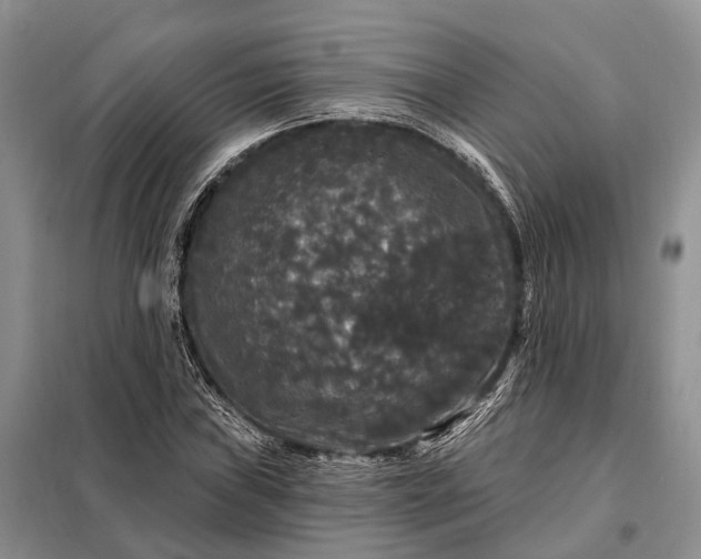 X0000097991019200804071146