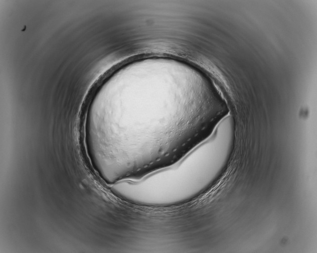 X0000097991020200804071146