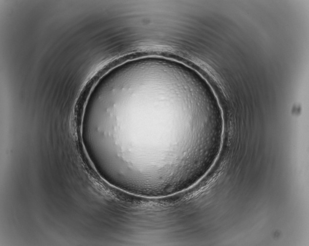 X0000097991022200804071146