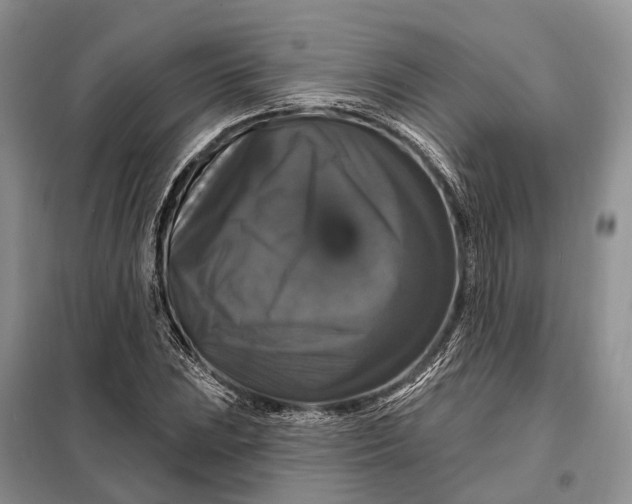 X0000097991023200804071146