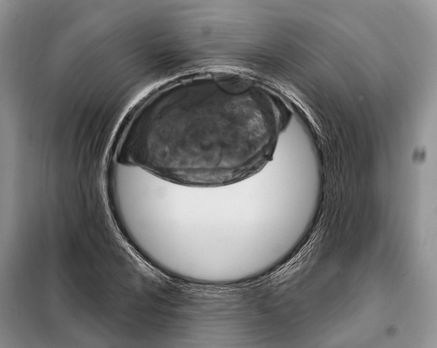 X0000097991024200804071146