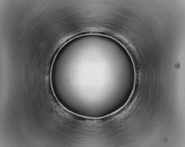 X0000097991025200804071146