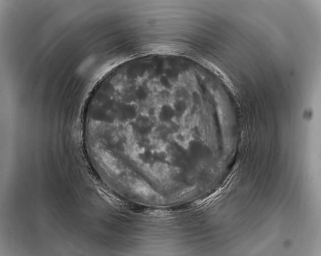 X0000097991027200804071146