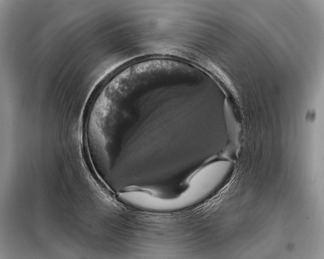 X0000097991028200804071146
