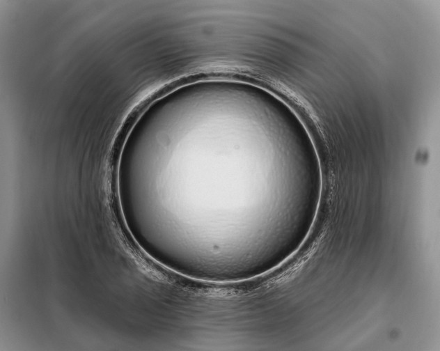 X0000097991029200804071146