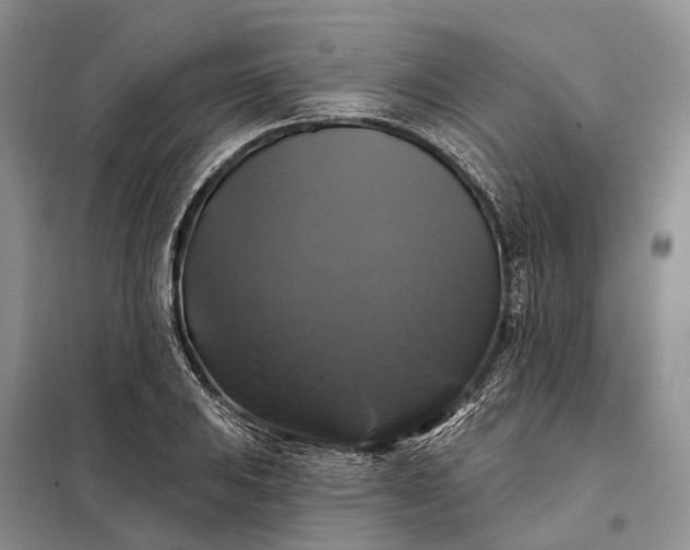 X0000097991031200804071146