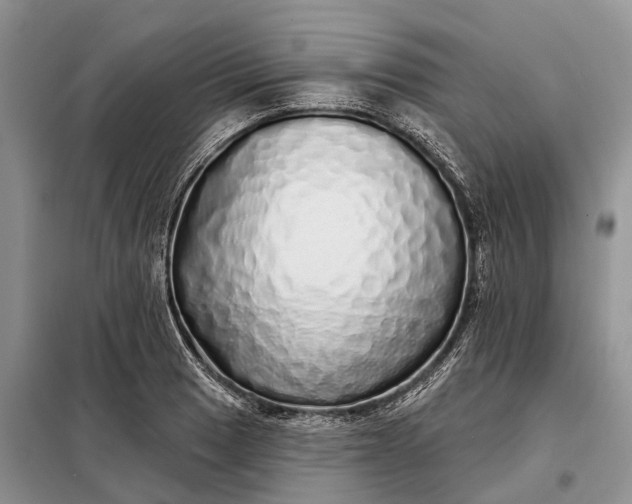 X0000097991033200804071146