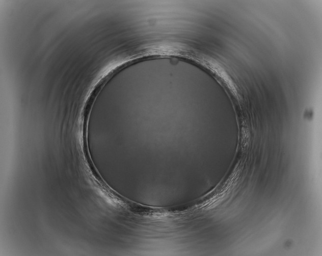 X0000097991035200804071146