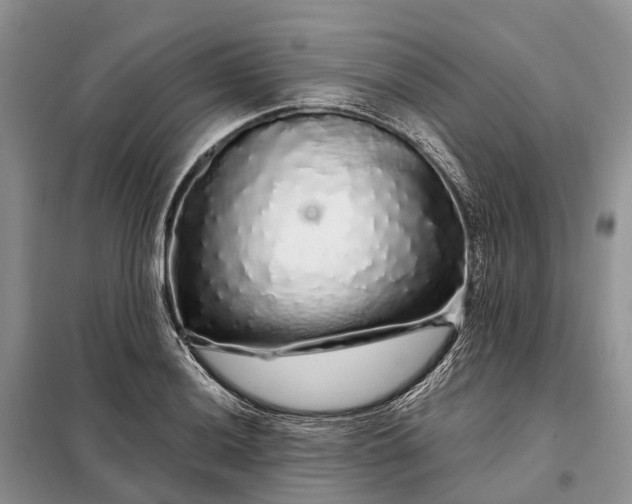 X0000097991036200804071146