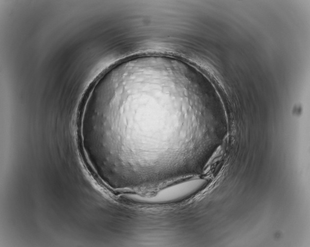 X0000097991038200804071146