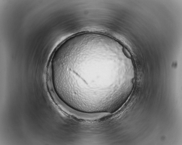 X0000097991040200804071146