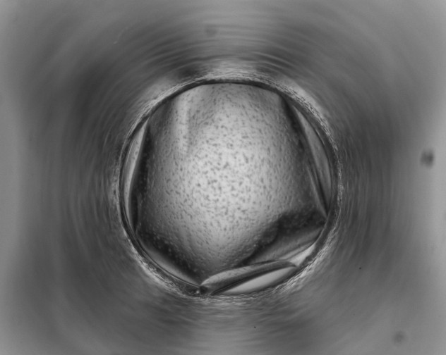 X0000097991041200804071146