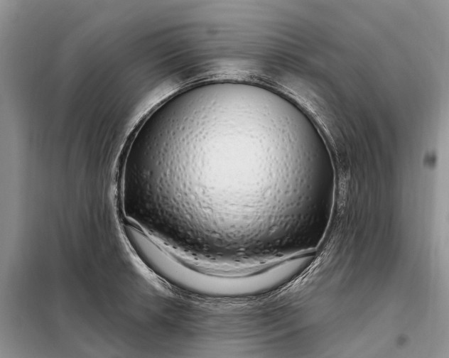 X0000097991042200804071146