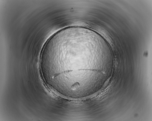 X0000097991044200804071146