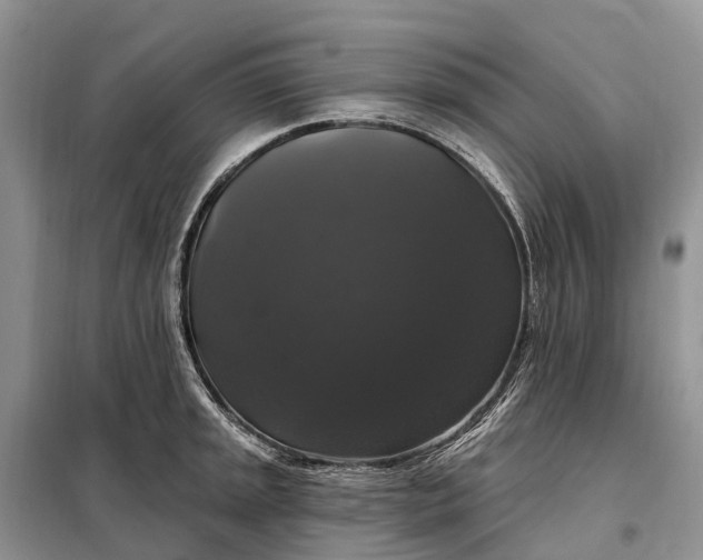X0000097991045200804071146