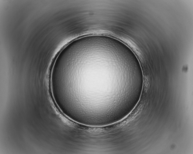 X0000097991046200804071146