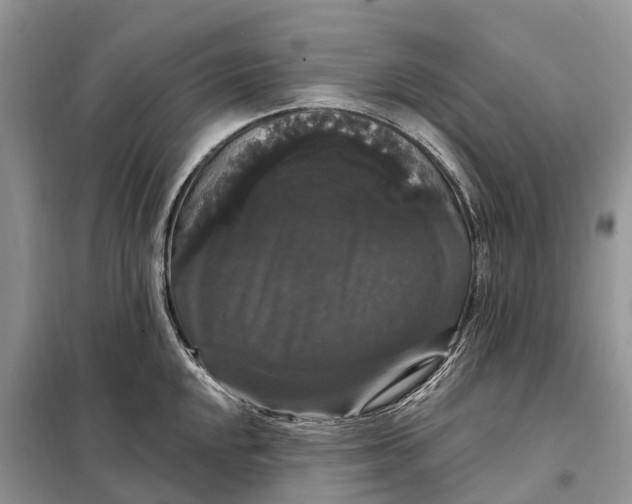 X0000097991048200804071146