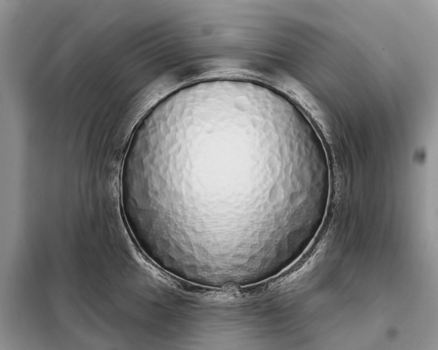 X0000097991049200804071146