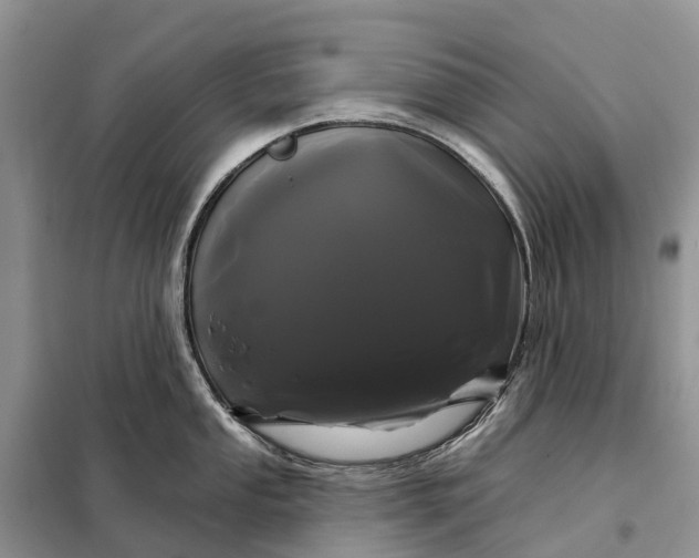 X0000097991053200804071146