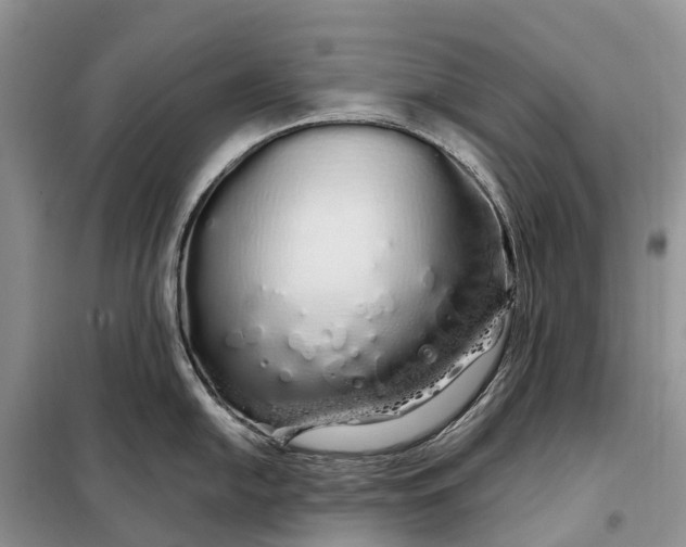 X0000097991054200804071146