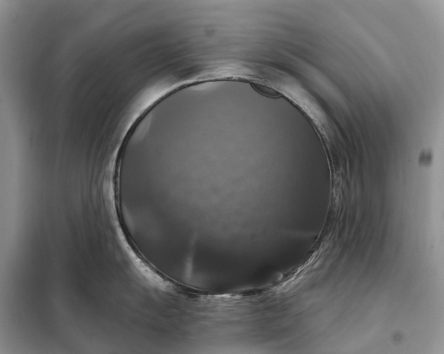 X0000097991055200804071146