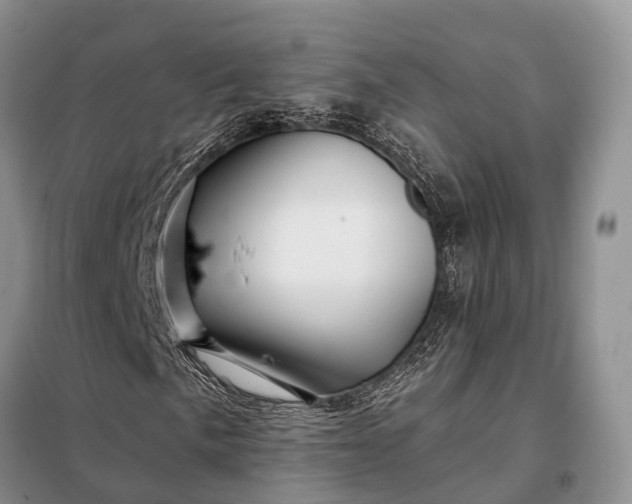 X0000097991057200804071145
