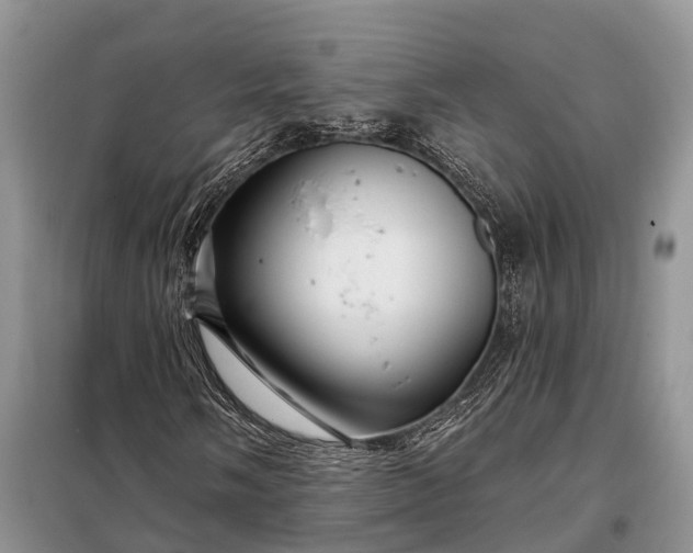 X0000097991058200804071145