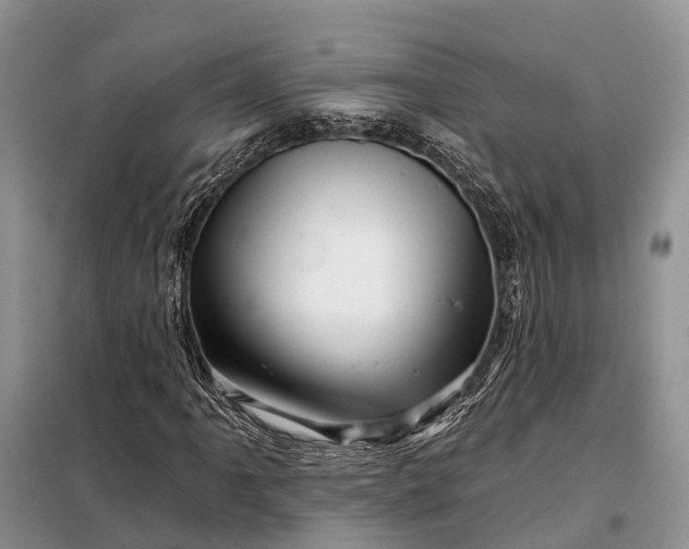 X0000097991061200804071145