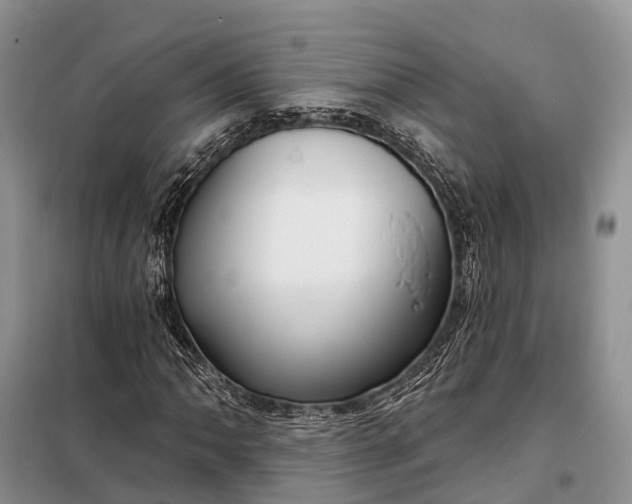 X0000097991062200804071145
