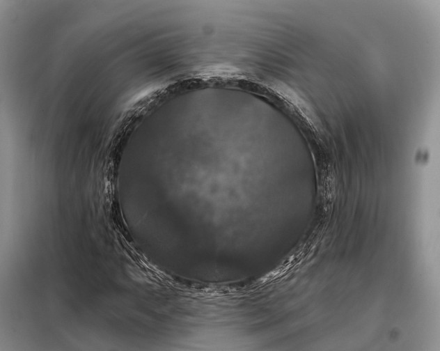 X0000097991063200804071145