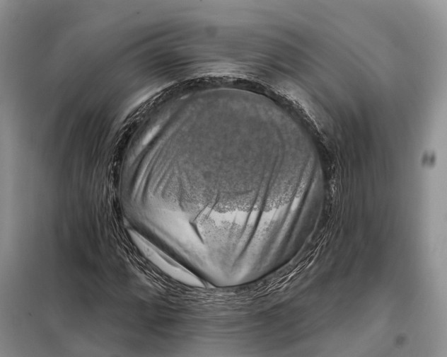 X0000097991064200804071145