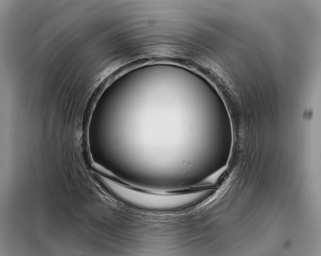 X0000097991065200804071145