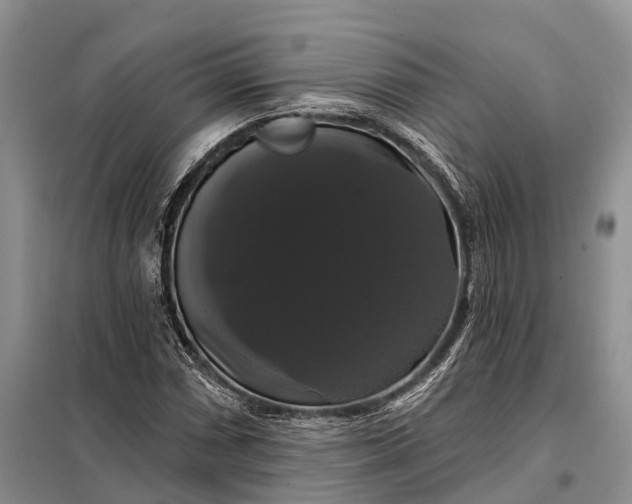 X0000097991066200804071145