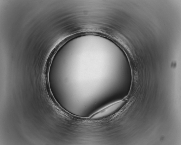X0000097991068200804071145