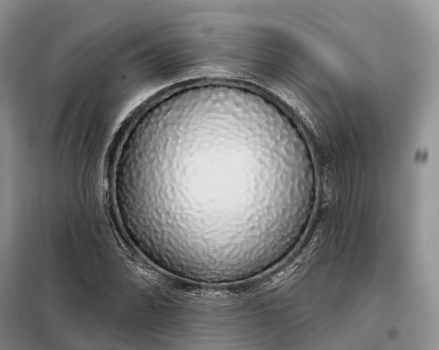 X0000097991070200804071145