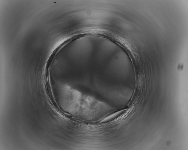 X0000097991071200804071145