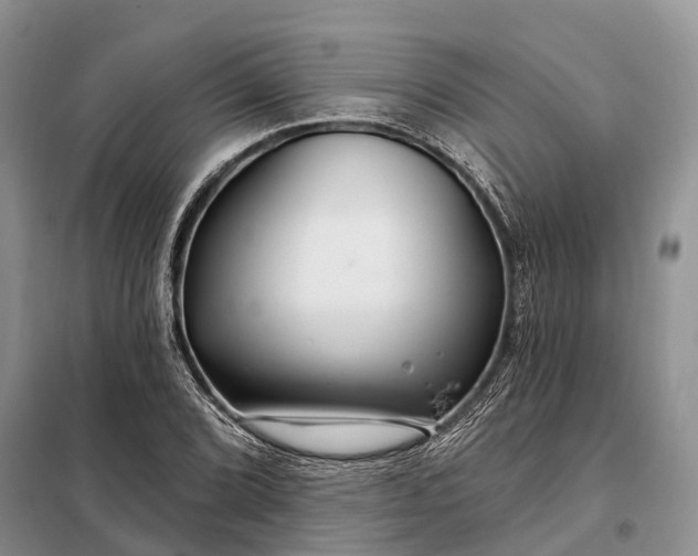 X0000097991072200804071145