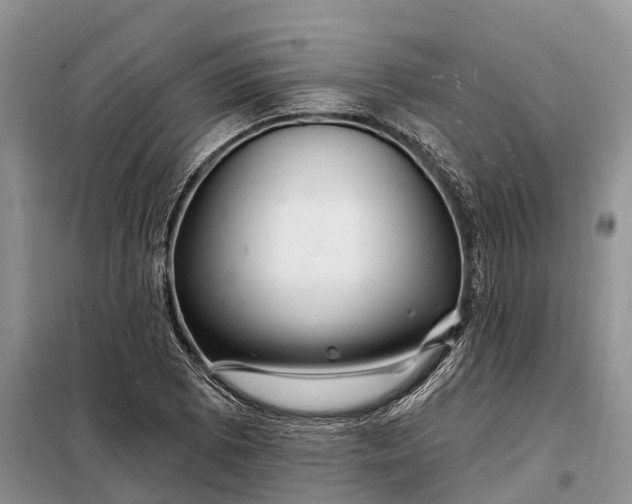 X0000097991073200804071145