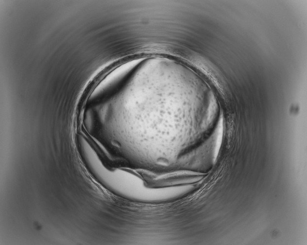 X0000097991076200804071145