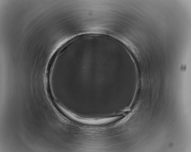 X0000097991077200804071145