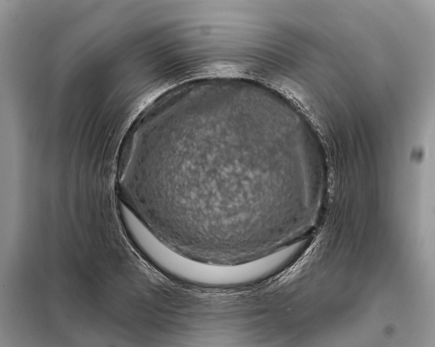 X0000097991081200804071145