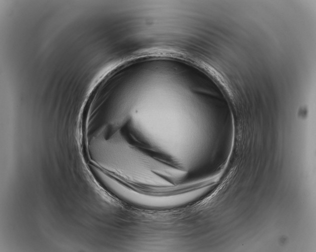 X0000097991082200804071145